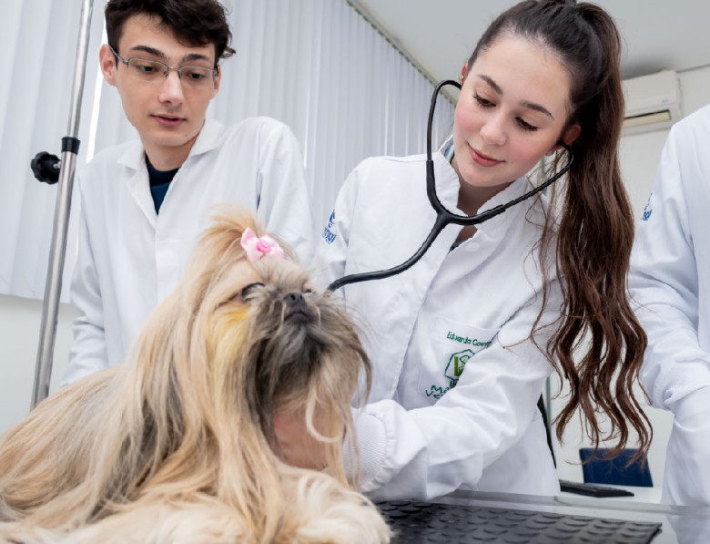 Imagem consultório atendimento